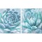 Aqua Succulent by Ramona Murdock 12" x 15" Canvas Wall Art (Set of 2)